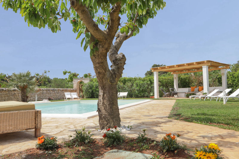piscina ulivi trulli greta casa vacanze puglia