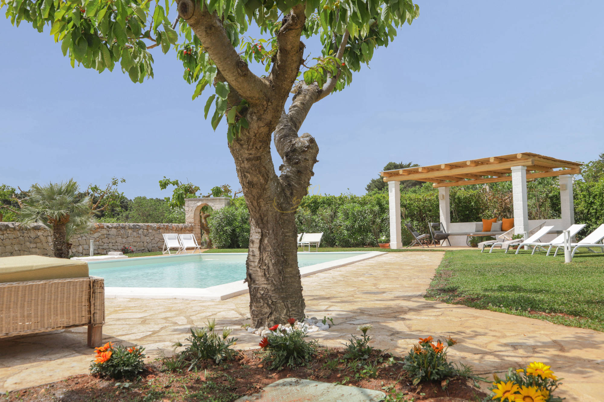 piscina ulivi trulli greta casa vacanze puglia